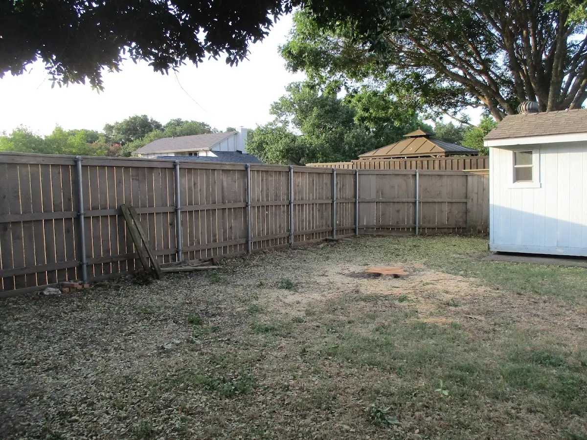 Cleared yard after professional tree removal in Hobbs